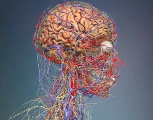 При беременности если голова болит сильно что сделать