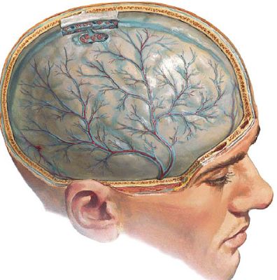Почему упадок сил голова болит