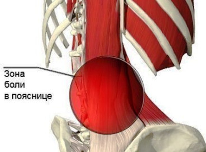 Болит спина на четвертом месяце беременности