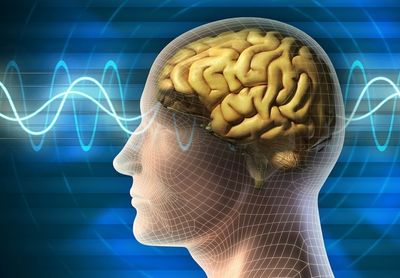 Почему упадок сил голова болит